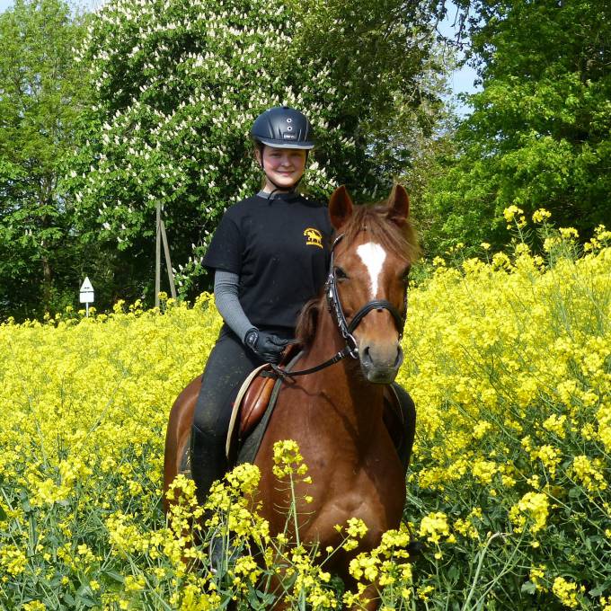 Mädchen reitet durch Rapsfeld