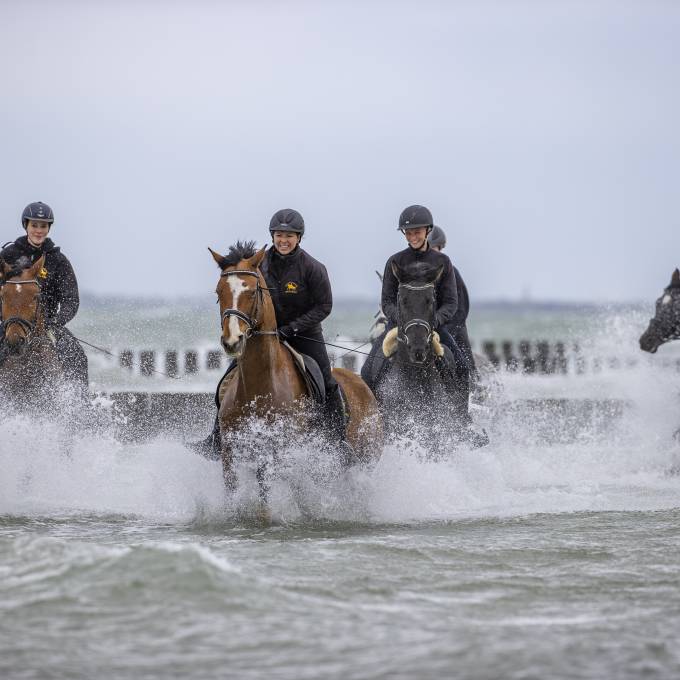 Menschen reiten auf Pferden durch die Ostsee