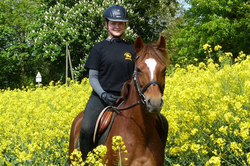 Reiten am Bodden: Erlebnisreiterhof Barth - Vinetahotel