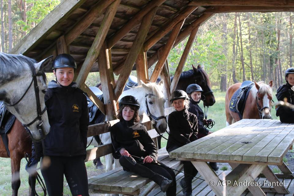 Mitten im Geschehen: Das Bernsteinland Hirschburg - Vinetahotel