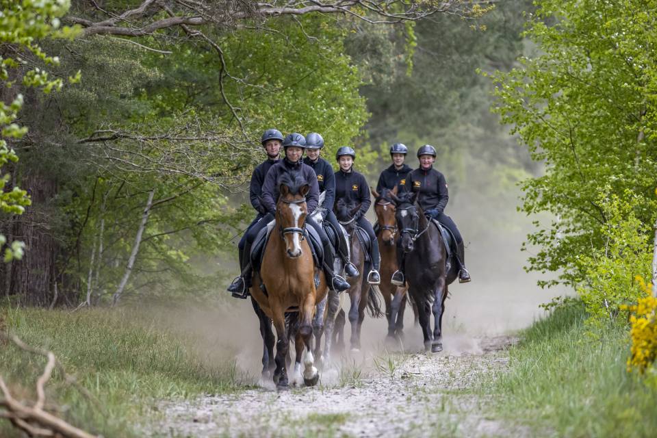 Unser Tipp: Der Einsteigerausritt - Vinetahotel